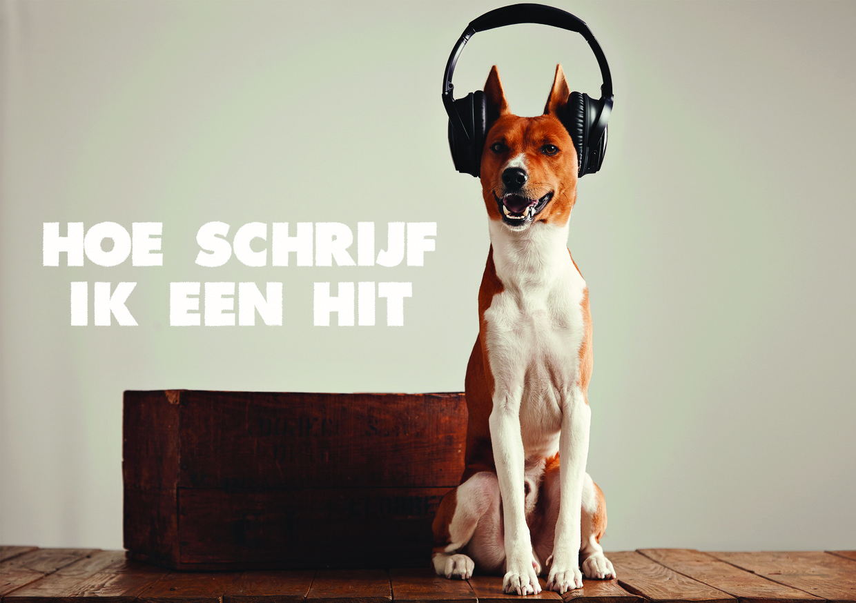Hoe schrijf ik een hit - BonteHond