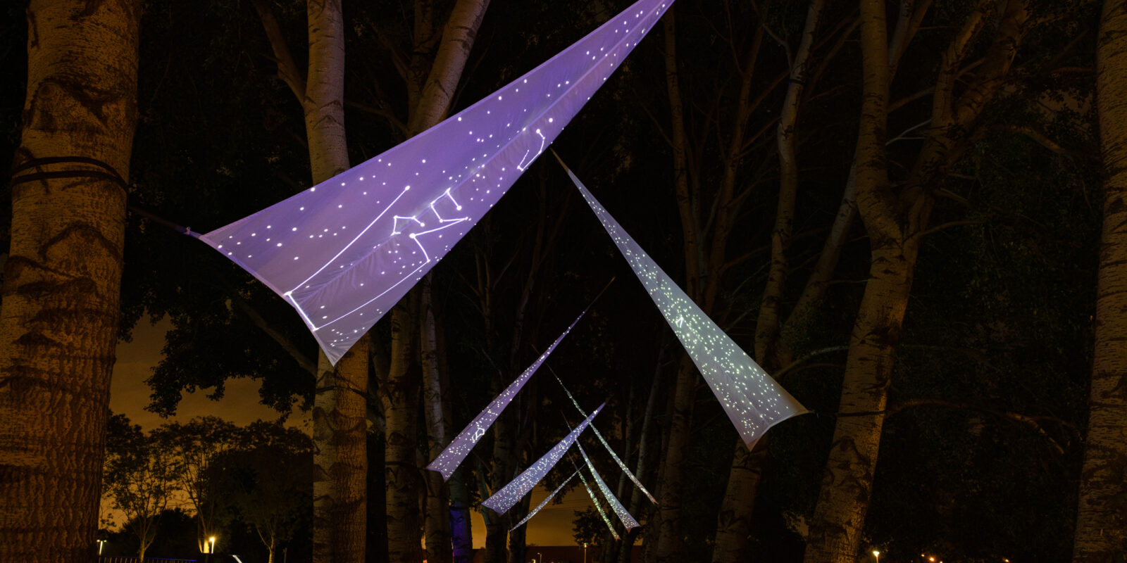 Lichtkunstproject boven de bomen en daarop geprojecteerd zie je sterrenbeelden gemaakt door scholieren.