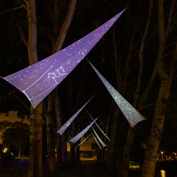 Lichtkunstproject boven de bomen en daarop geprojecteerd zie je sterrenbeelden gemaakt door scholieren.